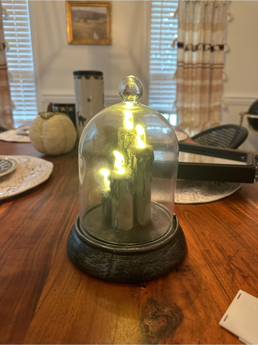 Martha Stewart candle cloche